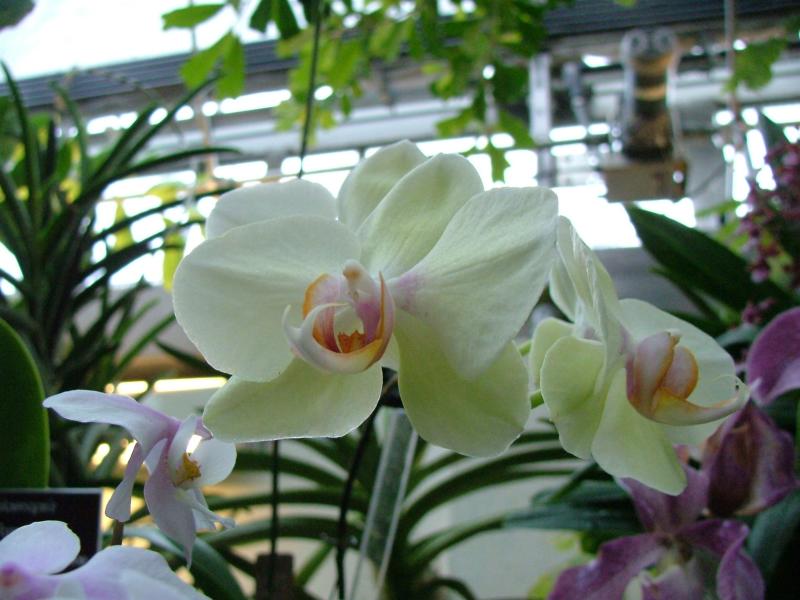 Botanical Gardens, National Mall, Washington DC