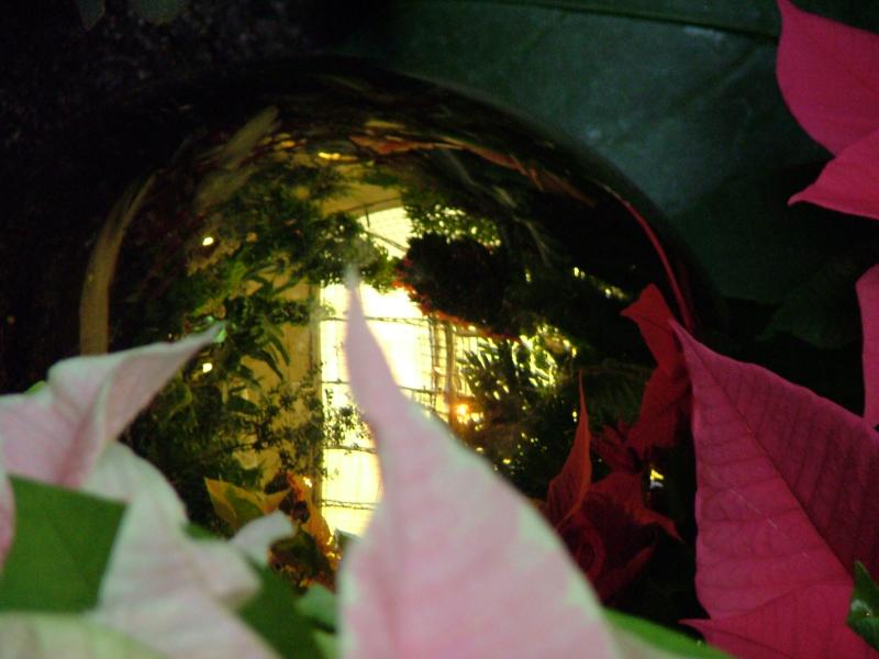 Botanical Gardens, National Mall, Washington DC