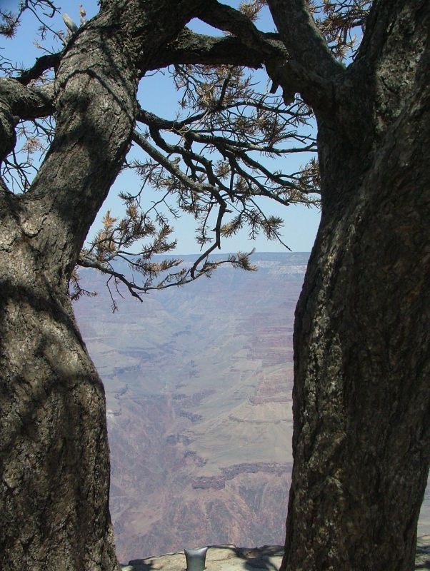 The Grand Canyon, Arizona