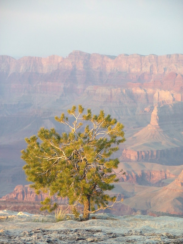 The sun setting over The Grand Canyon, Arizona