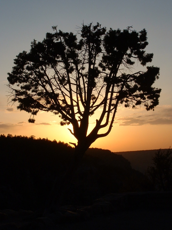 The sun setting over The Grand Canyon, Arizona