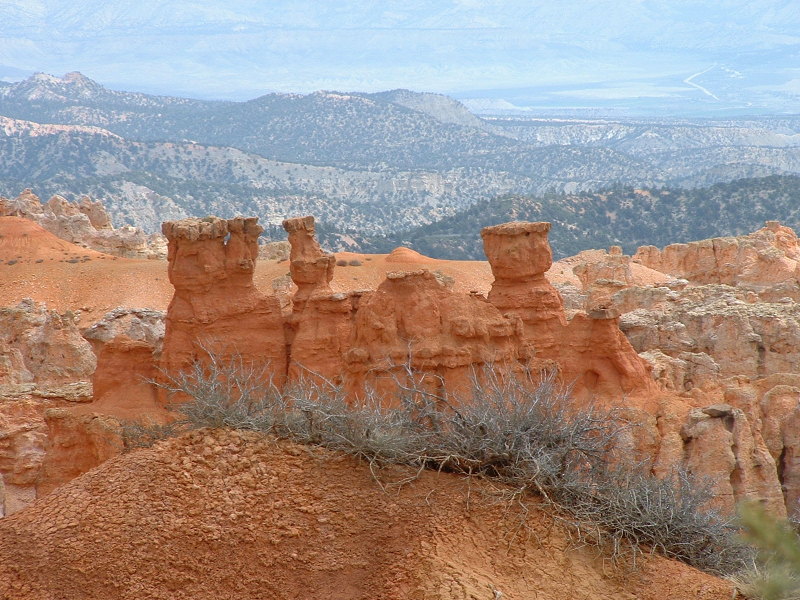 Hoodoos in Bryce Canyon, Utah