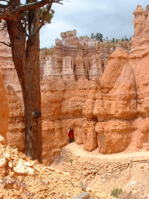 Rob coming through one of the arches cut for the Queen's Trail, Bryce Canyon, Utah