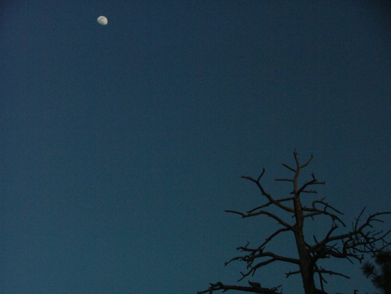 The Moon at Sunset Point, Bryce Canyon, Utah