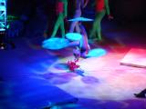'Jungle Dreams, The Last Orangutan' acrobatic show  San Diego Zoo
