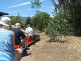 Goleta short line minuturetrain ride.