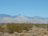 The desert  Ridgecrest.