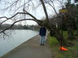Between the FDR and Jefferson Memorials, Washington DC