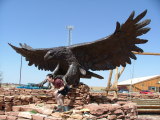 Rob about to be taken by an eagle outside the Planes of Fame Air Museum, Valle, Arizona
