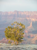 The sun setting over The Grand Canyon, Arizona