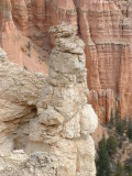 Hoodoo in Bryce Canyon, Utah