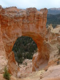 An arch, Bryce Canyon, Utah