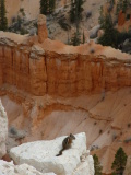 An Uinta Chipmunk, Bryce Canyon, Utah