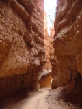 Slot canyons in Wall Street on the Navajo Trail, Bryce Canyon, Utah