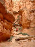 Rob under Two Bridges on the Navajo Trail, Bryce Canyon, Utah
