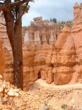 Rob coming through one of the arches cut for the Queen's Trail, Bryce Canyon, Utah