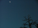 The Moon at Sunset Point, Bryce Canyon, Utah