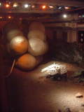 Mars Rover Test Lab - rovers and inflated balloons, Jet Propulsion Labs, May 2004